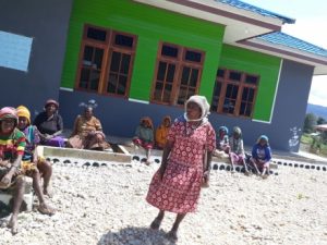 Dinas Lingkungan Hidup Paniai, Intervensi Kinerja Mama-mama Papua