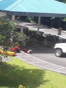 Personil Gabungan TNI – POLRI Kejar Pelaku Penembakan Di Kuala Kencana Kabupaten Mimika