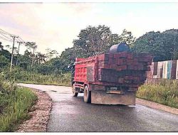 LSM dan Media Prihatin, Kayu Bantalan Terus Keluar Dari Hutan Grime Nawa