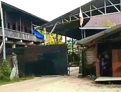 Ketua LSM WGAB: “Kapolda Papua Barat Tolong Lidik Dan Sidik Sumber Bahan Baku Bos “M” Owner CV. Alco Timber Irian Di Moswaren Sorsel!”