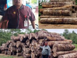 Diduga Ilegal Loging, Yerry: “Kami Minta Transparansi Terkait Legalitas Izin Pengangkutan Kayu Log Merbau Dari Senggi Ke Koya Koso