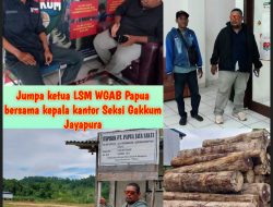 Kayu Log Di-PPNS Line Gakkum KLH, WGAB: “Kami Harap PT. BIO Dan PT. PJS Tunjukkan Bukti Dokumen Pengangkutan”
