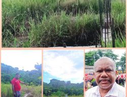 Diduga Mandeg, Direktur Eksekutif LP3BH Manokwari Minta Proyek Pembangunan Puskesmas Meyerga Moskona Barat, Dilidik Dan Disidik APH