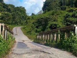 Terkait Kerusakan Jalan Trans Nasional Wondama, PPK 4.2 Hendro Frendli Singal; “Itu Masih Dalam Tahap Pengerjaan”