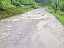 Pemerintah Daerah Diminta Perbaiki Jalan Rusak di Kampung Opuri, Sopen Dan Kampung² Lainnya
