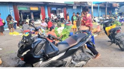 Merajut Harapan Masyarakat Biak Di Tengah Efisiensi Anggaran, Sebuah Tantangan Bagi Pemda Meningkatkan Ekonomi Daerah