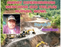 Ketua LSM WGAB Papua Kecam Tegas Eksploitasi Tambang Nikel Raja Ampat